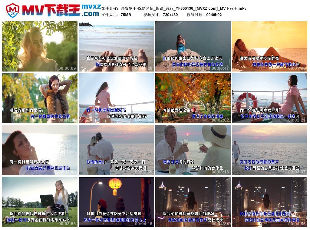 兴安歌王-嫁给爱情_国语_流行_YF800136